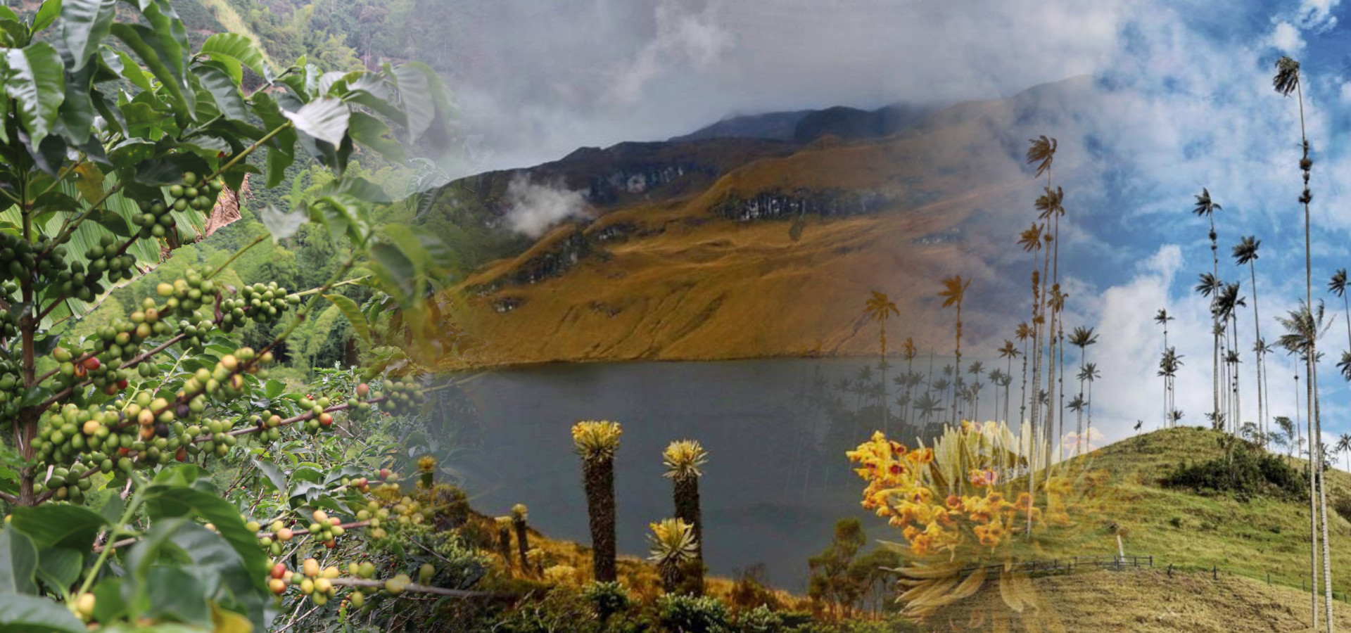 imagen featured de la ruta