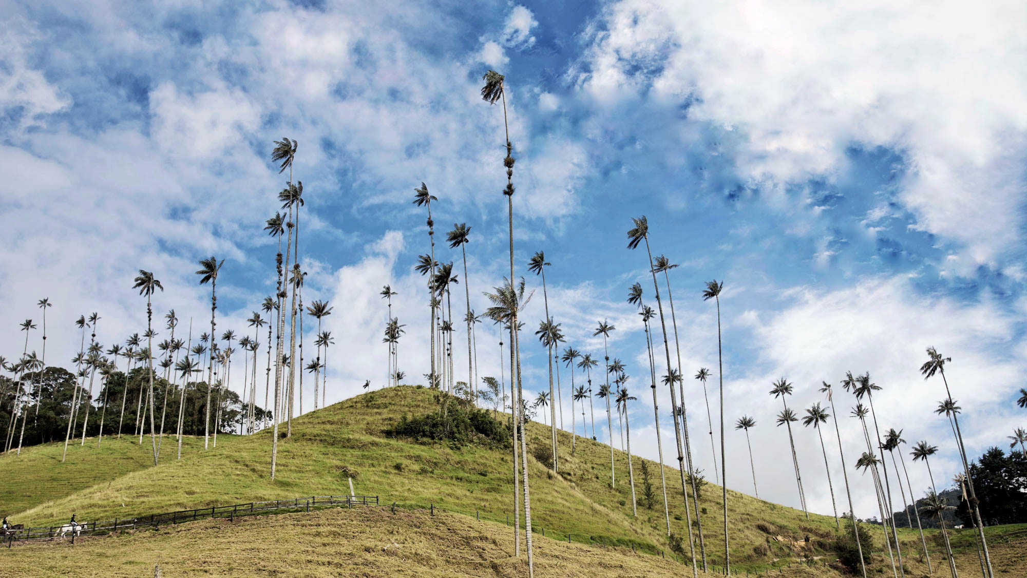 imagen featured del trail